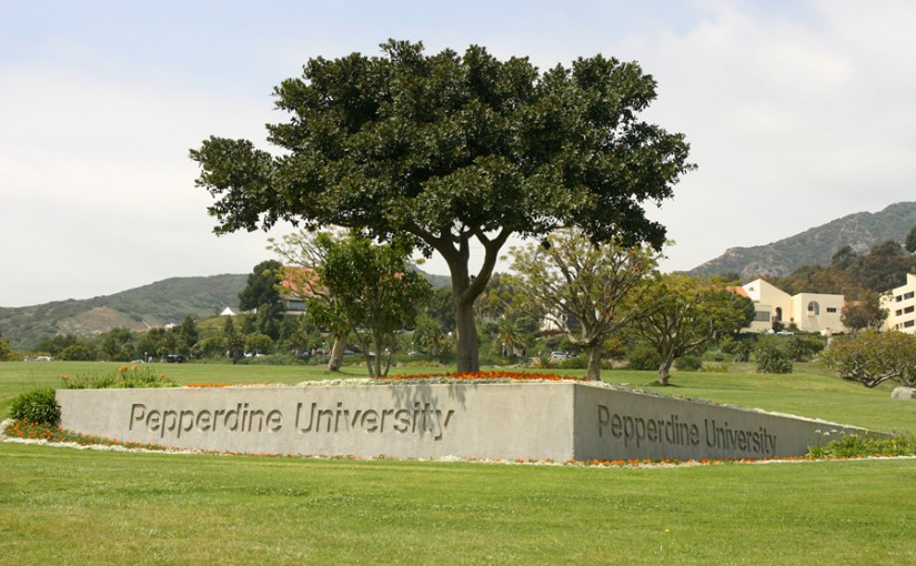 美國佩珀代因大學(xué)商業(yè)分析碩士能輔導(dǎo)什么內(nèi)容？