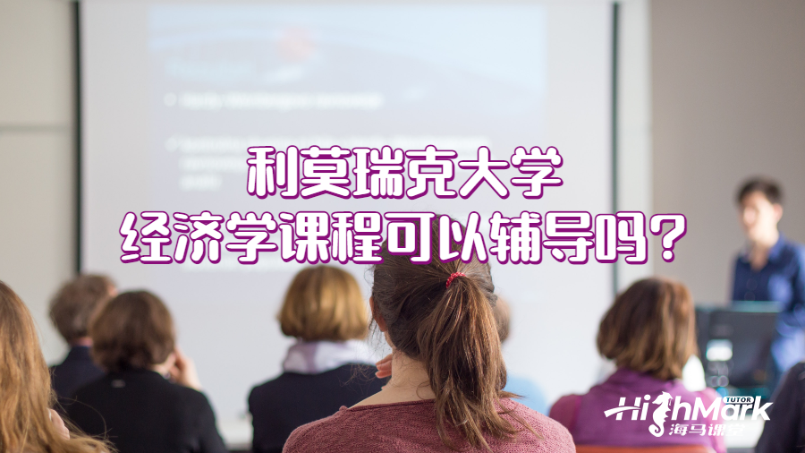 利莫瑞克大學(xué)經(jīng)濟(jì)學(xué)課程可以輔導(dǎo)嗎?