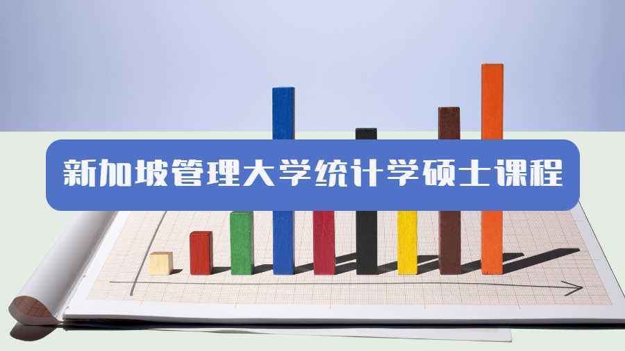 新加坡管理大學(xué)統(tǒng)計(jì)學(xué)碩士課程可以輔導(dǎo)嗎