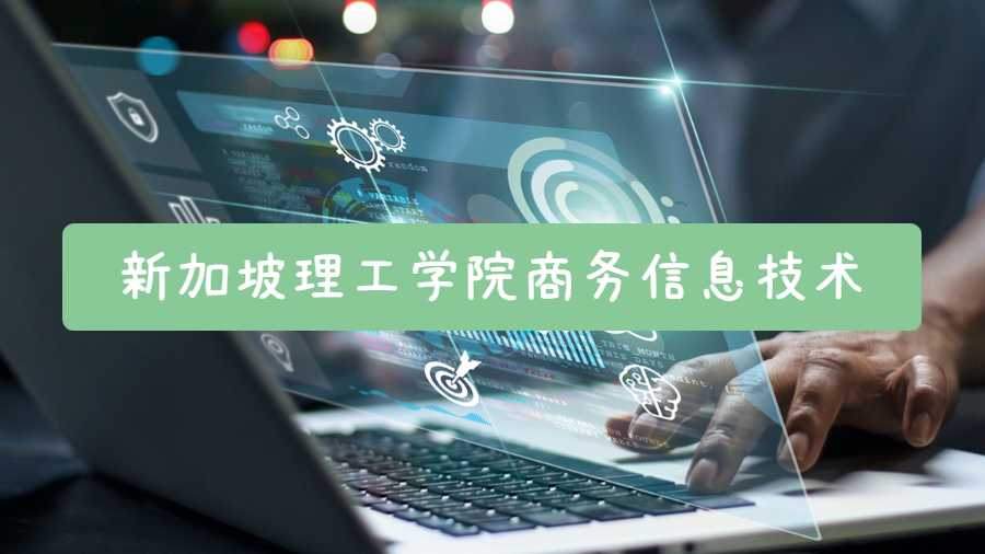 新加坡理工學(xué)院商務(wù)信息技術(shù)課程補(bǔ)習(xí)