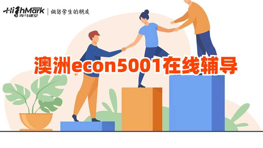 澳洲econ5001在線輔導(dǎo)