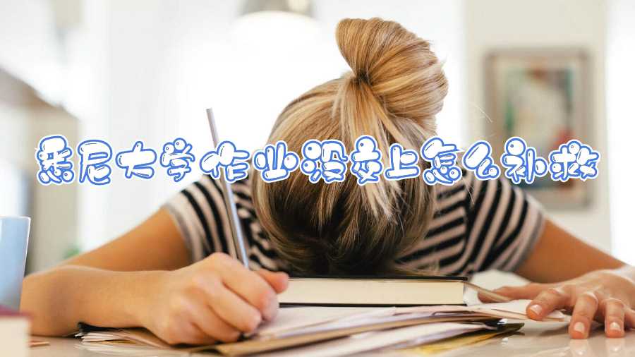 悉尼大學作業(yè)沒交上怎么補救