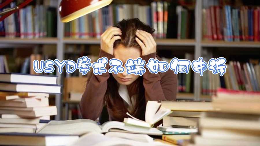 USYD學(xué)術(shù)不端如何申訴