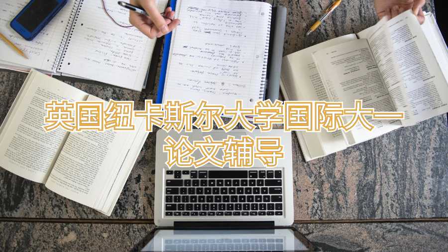 英國(guó)紐卡斯?fàn)柎髮W(xué)國(guó)際大一論文輔導(dǎo)