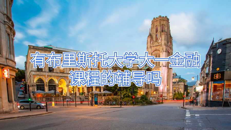 有布里斯托大學(xué)大一金融課程的輔導(dǎo)嗎