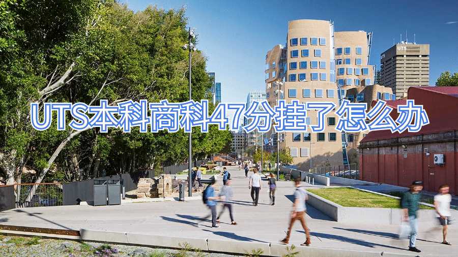 UTS本科商科47分掛了怎么辦