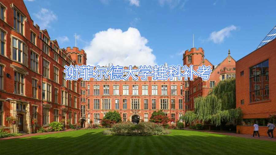 謝菲爾德大學(xué)掛科補(bǔ)考