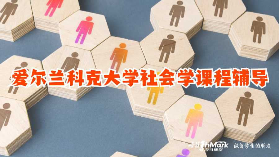 愛爾蘭科克大學(xué)社會學(xué)課程輔導(dǎo)
