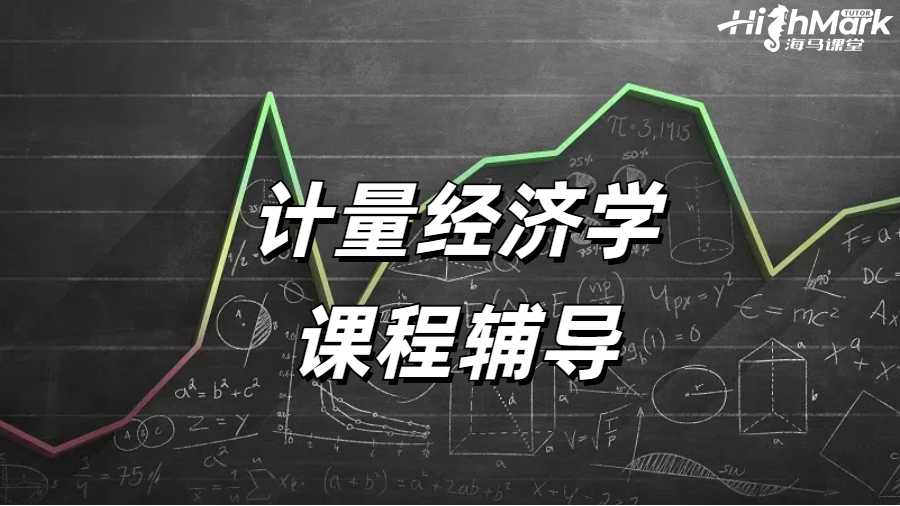 計(jì)量經(jīng)濟(jì)學(xué)課程輔導(dǎo)