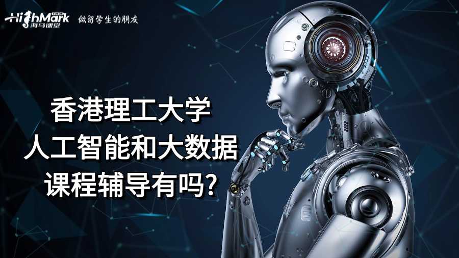 香港理工大學(xué)人工智能和大數(shù)據(jù)課程輔導(dǎo)有嗎?