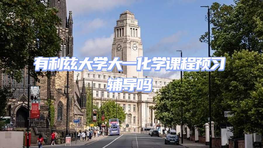 利茲大學(xué)課程預(yù)習(xí)輔導(dǎo)