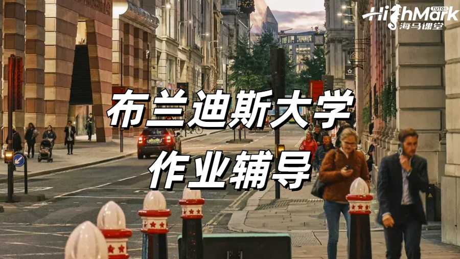 布蘭迪斯大學作業(yè)輔導