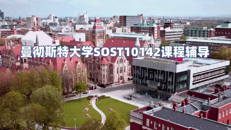 曼徹斯特大學(xué)SOST10142課程輔導(dǎo)