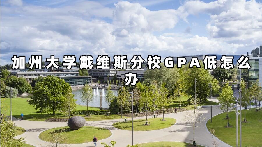 加州大學(xué)戴維斯分校GPA低怎么辦