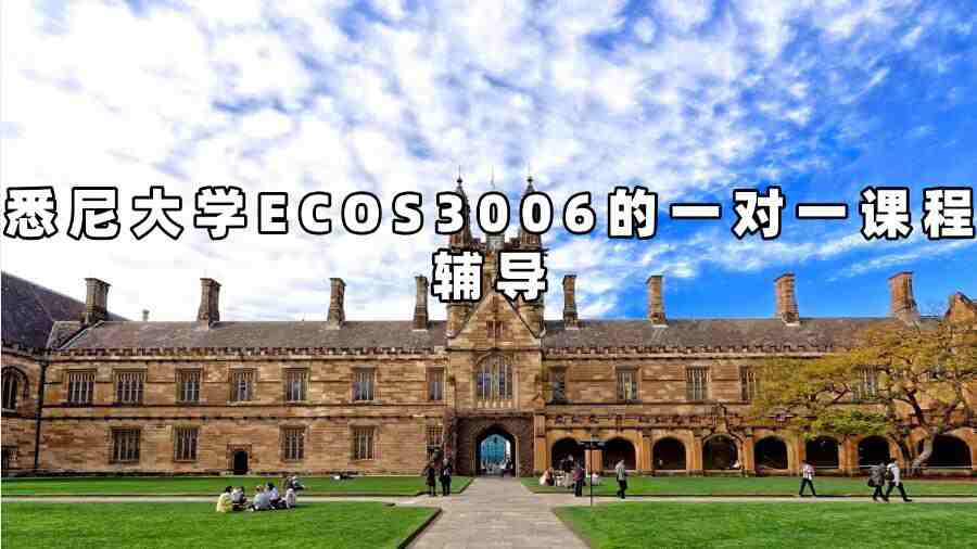悉尼大學(xué)ECOS3006的一對(duì)一課程輔導(dǎo)