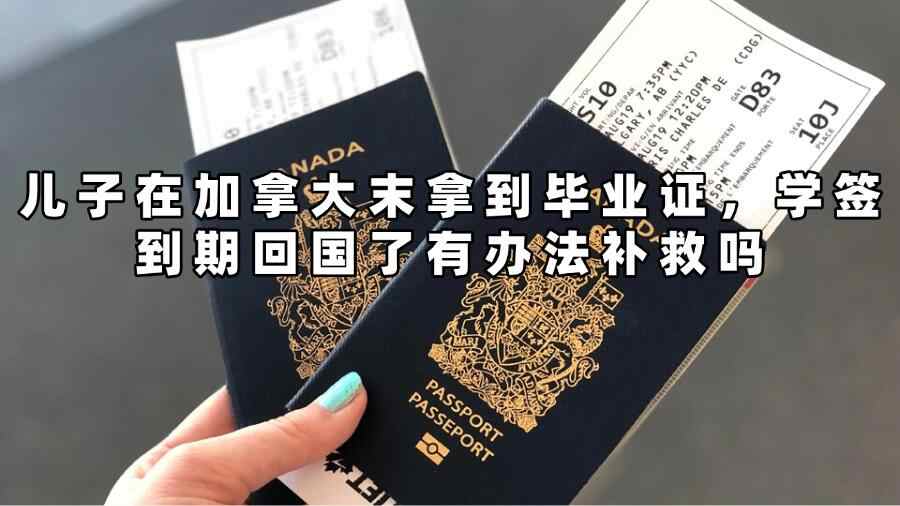 加拿大留學未畢業(yè)