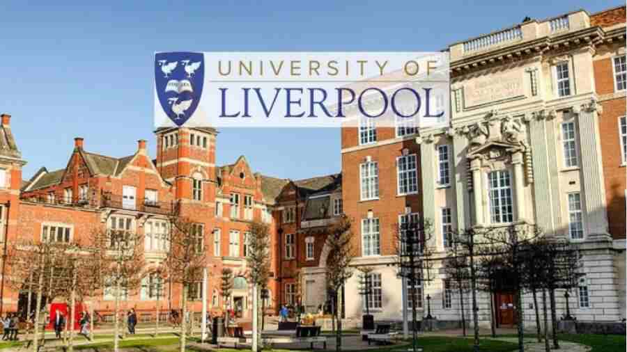 利物浦大學(xué)碩士畢業(yè)論文被查出來(lái)用AI怎么辦