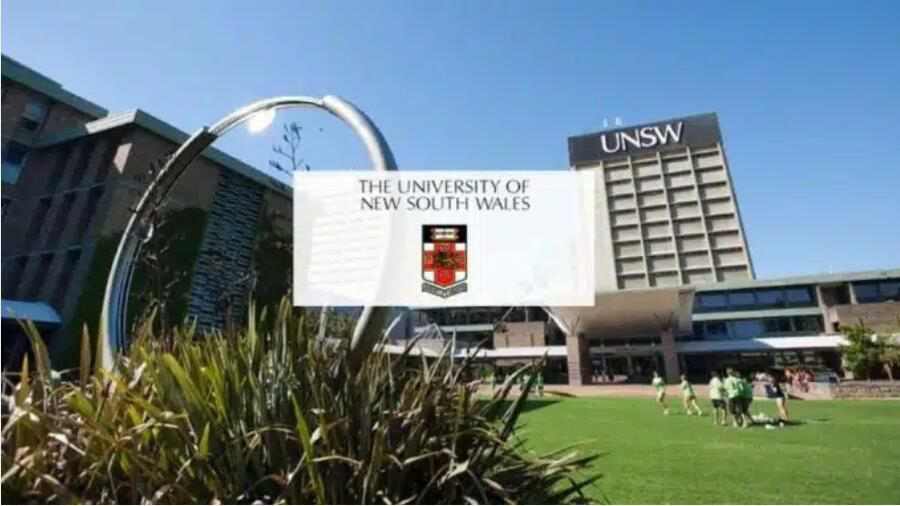 新南威爾士大學(xué)輔導(dǎo)