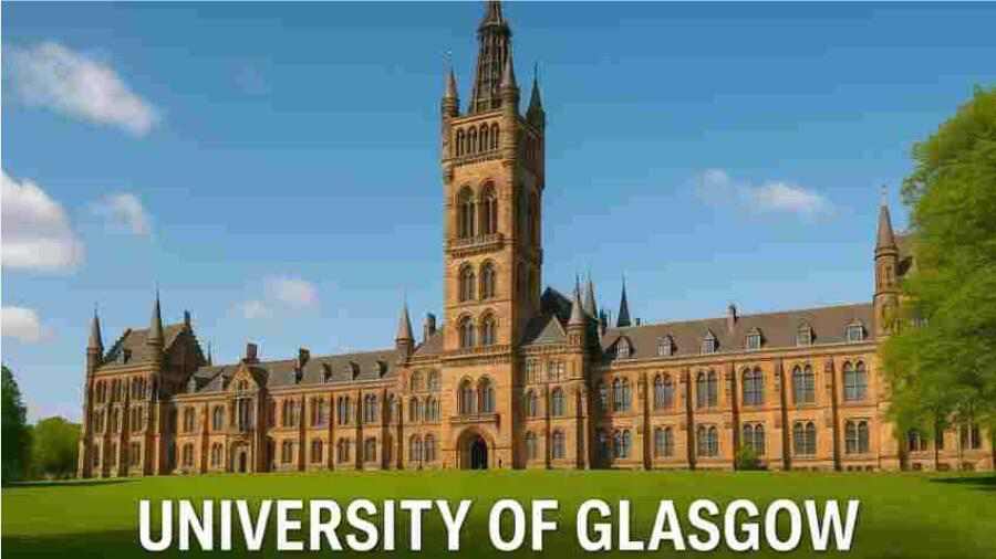 格拉斯哥畢業(yè)論文被指控作者身份問題怎么辦